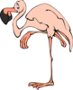 Tired Flamingo Clip Art